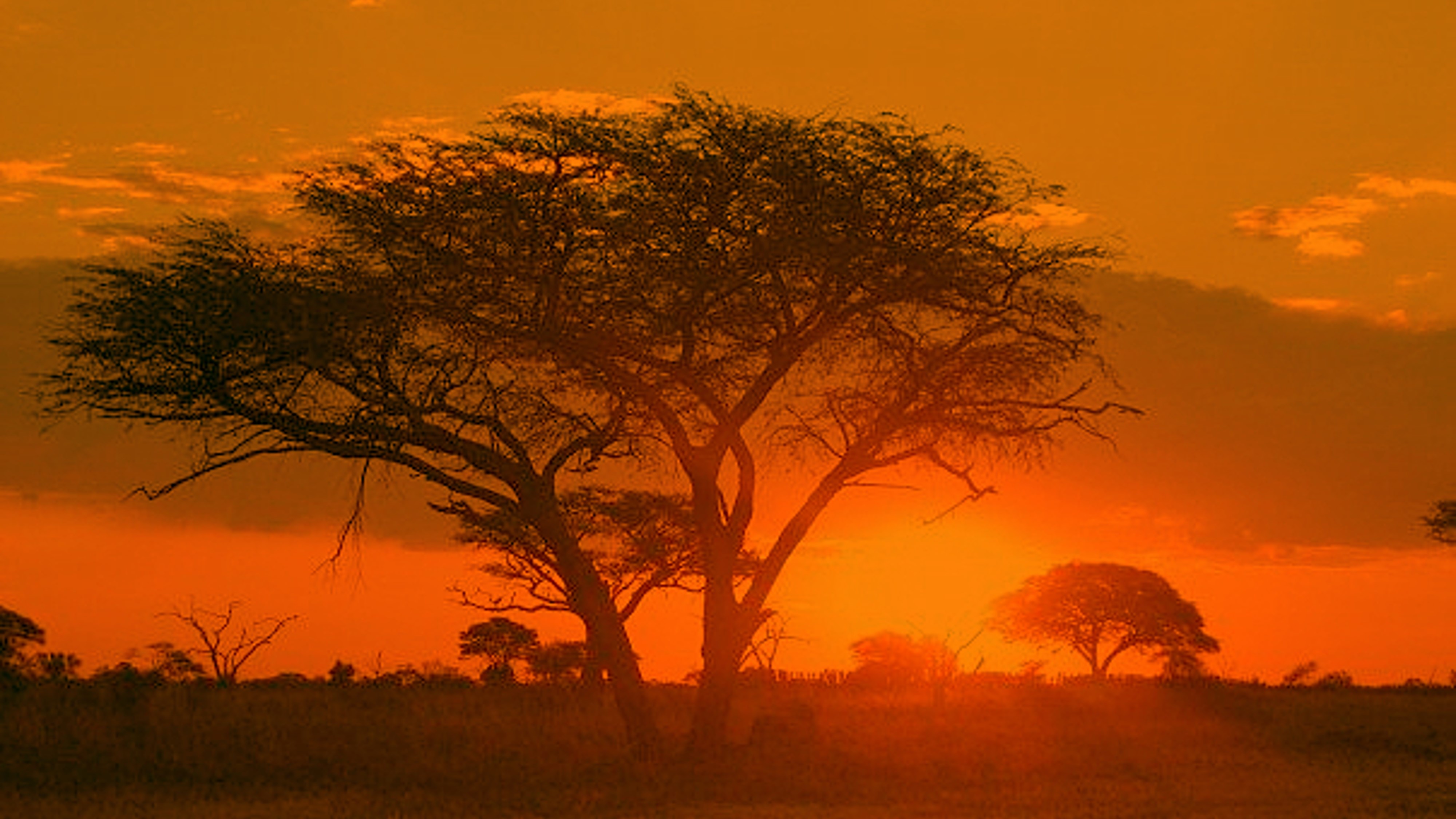 Oasis Travel Agency | Zimbabwe